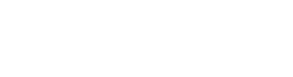 PLaMo